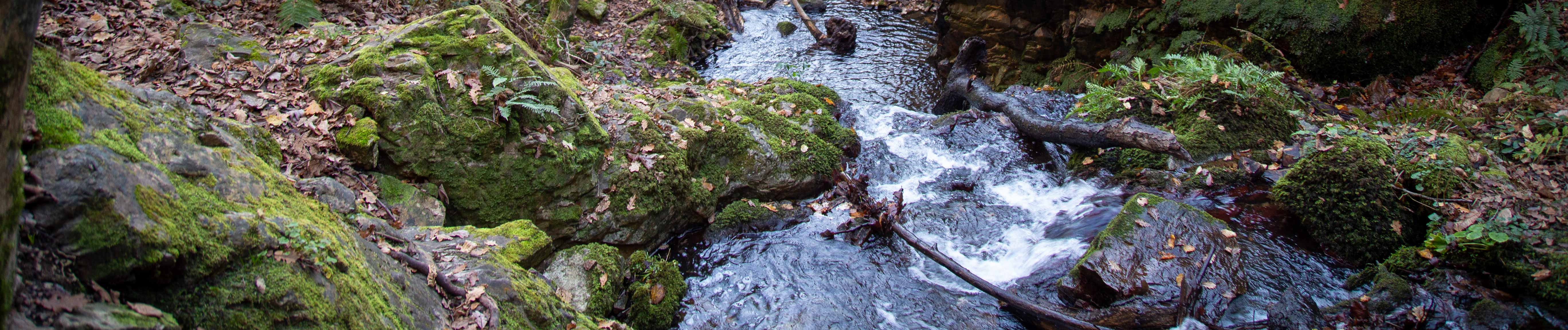 vista del trascurso del agua de la cascada