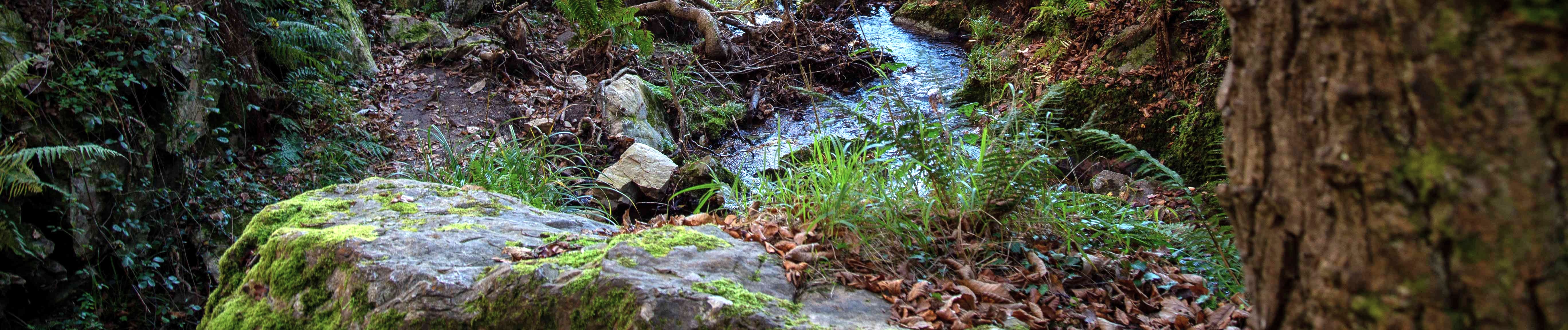 parte del trascurso del arroyo de agua de la cascada
