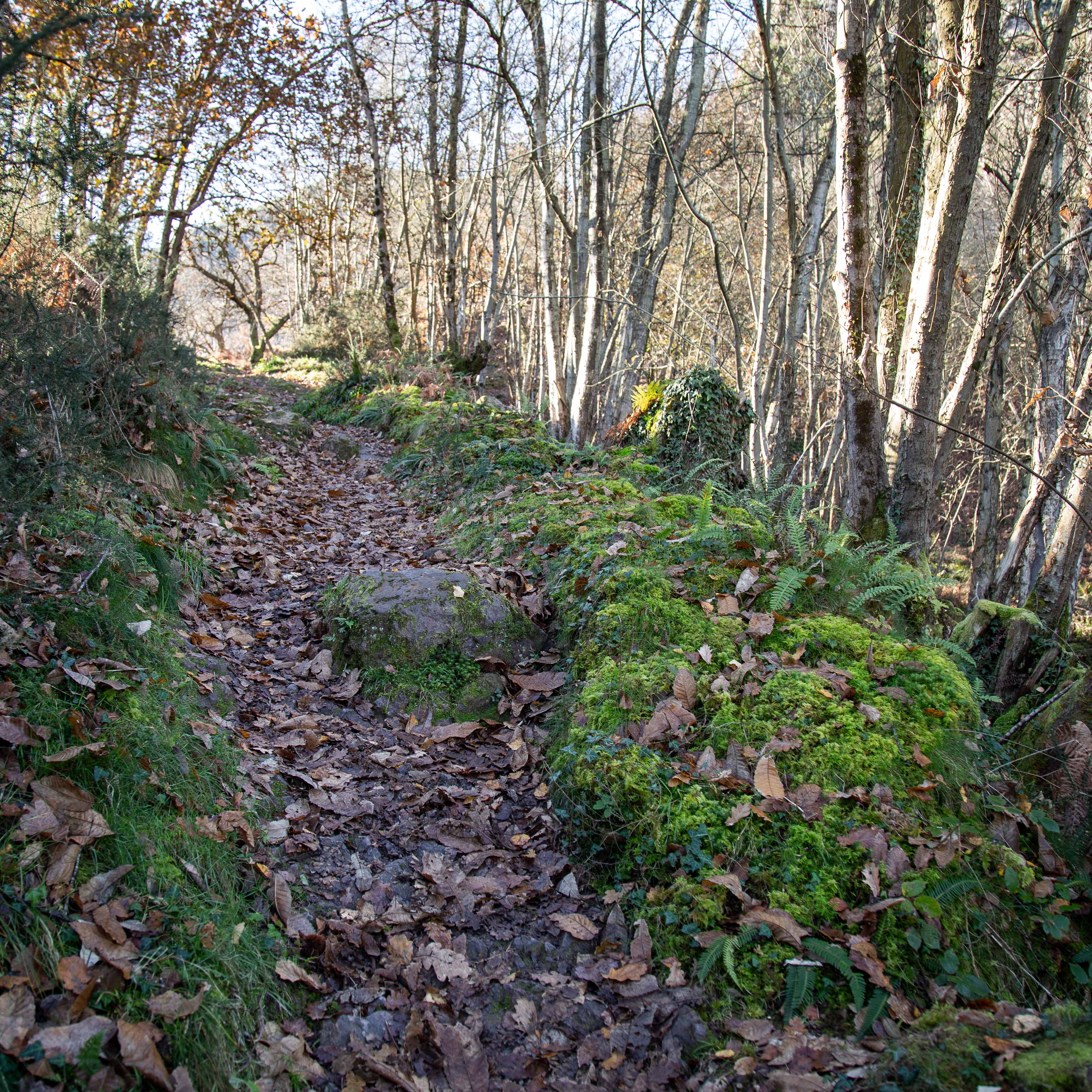 parte de la ruta