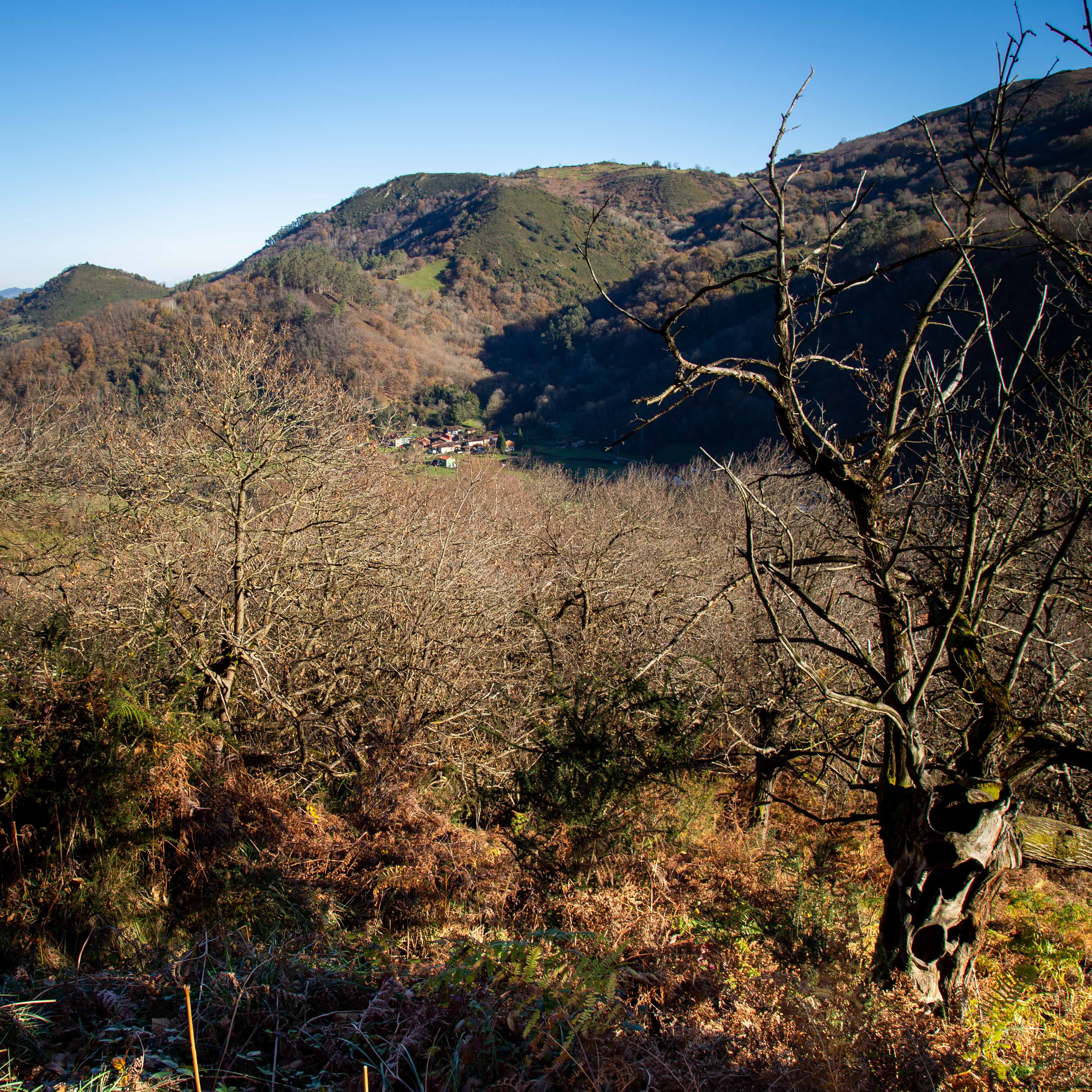 vistas desde la montaña