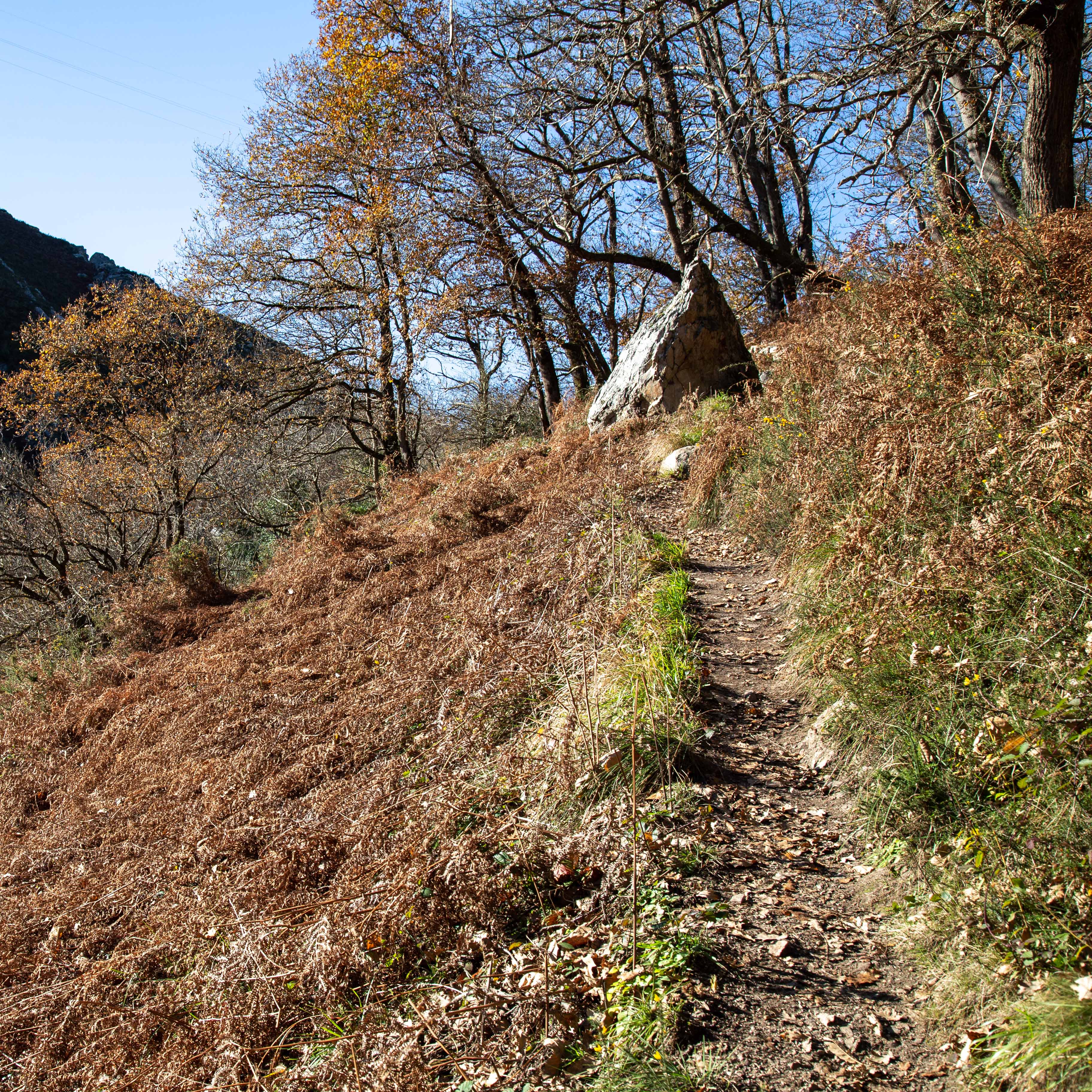 ruta en otoño