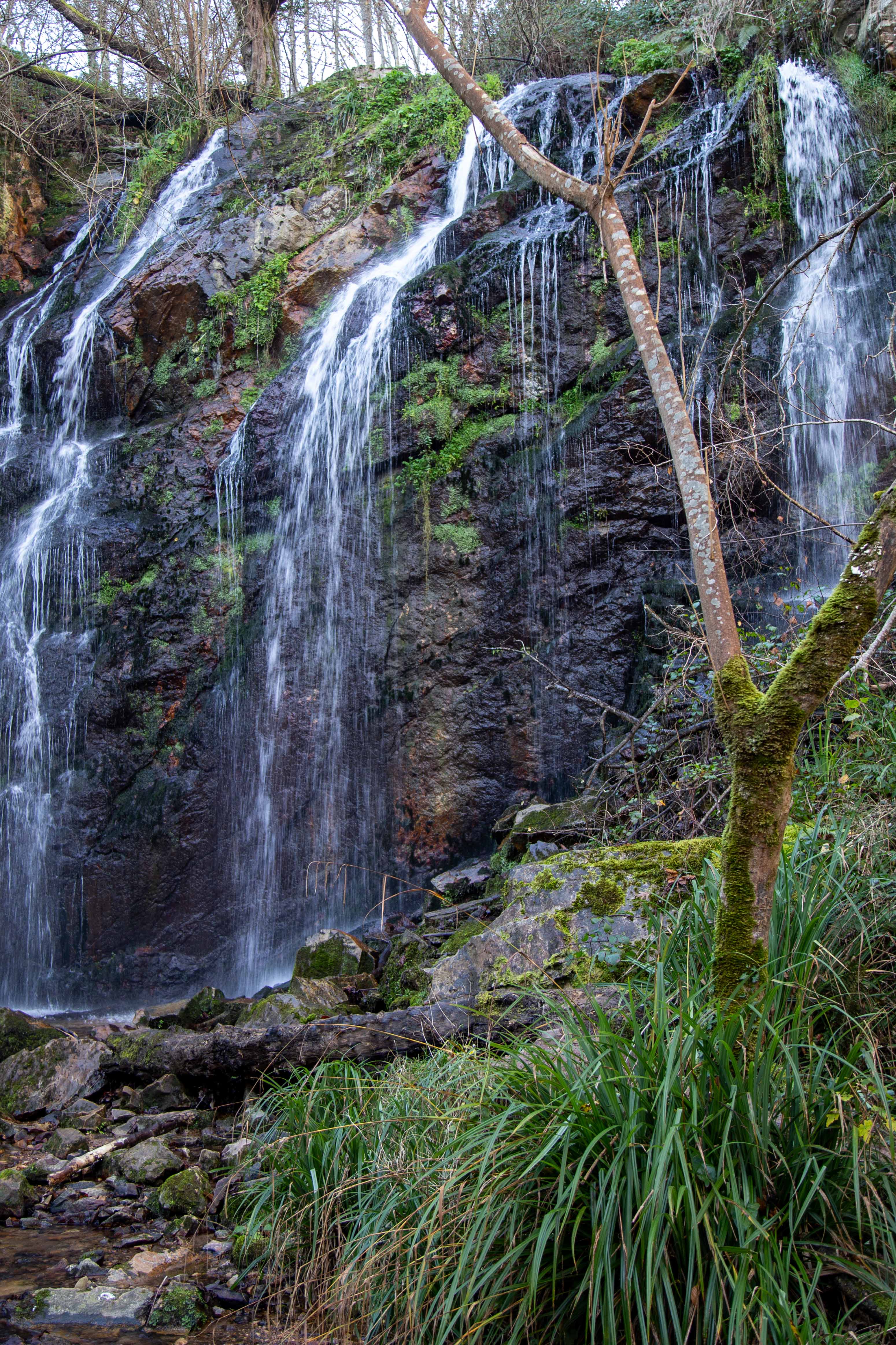 vista panorámica de la cascada con sus cañones de agua