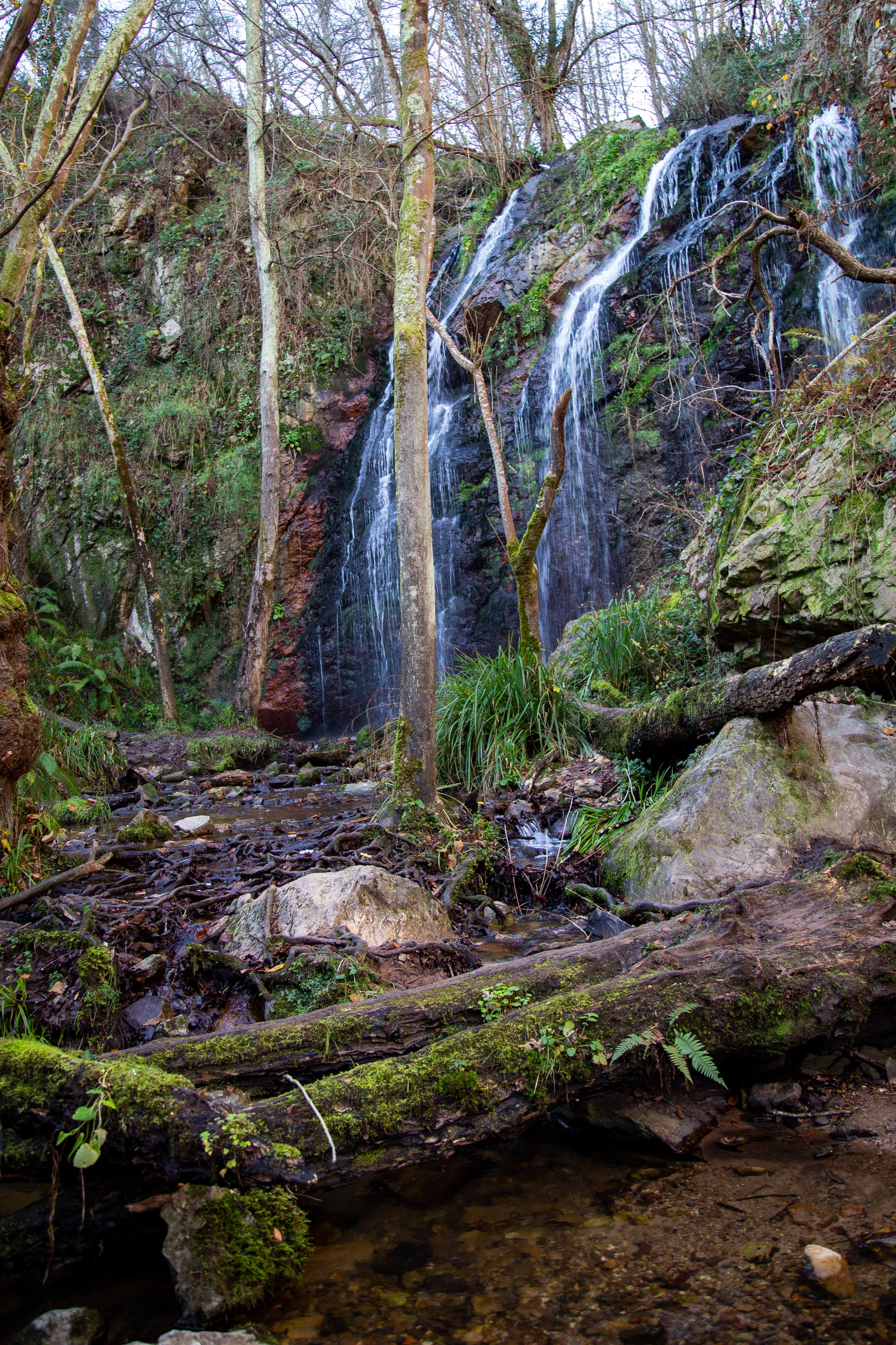 vista panorámica de la cascada y su vegetación